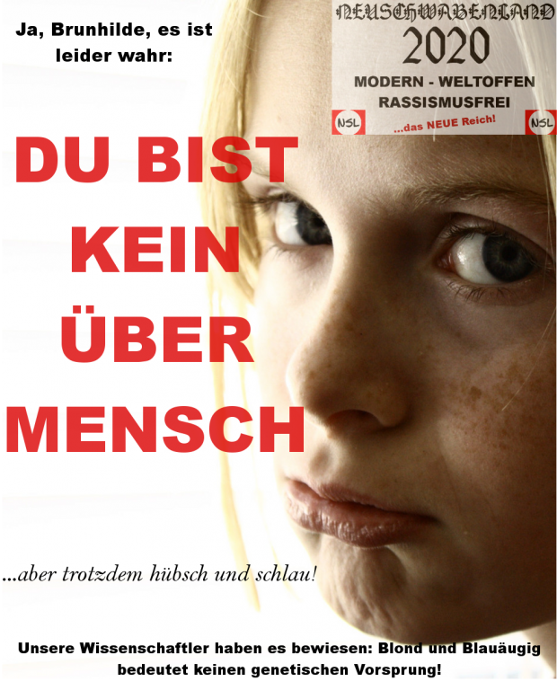 Ingame Posters: De-Nazification in Neuschwabenland