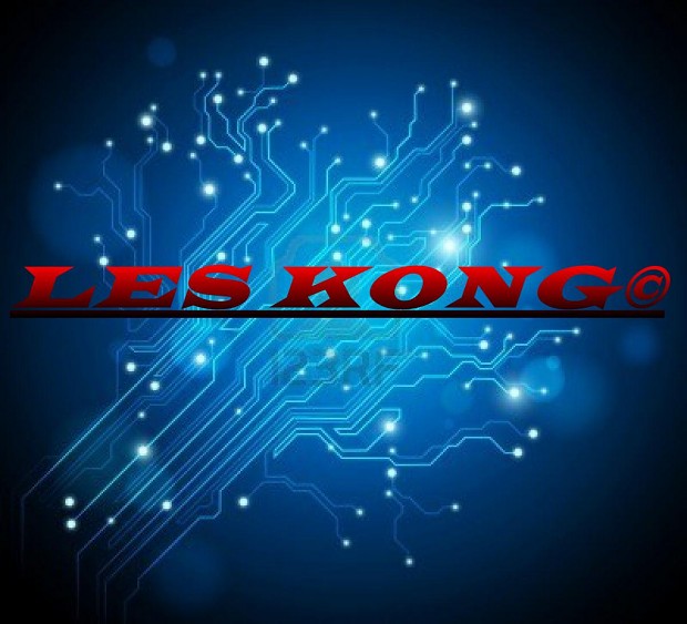 LES KONG logo
