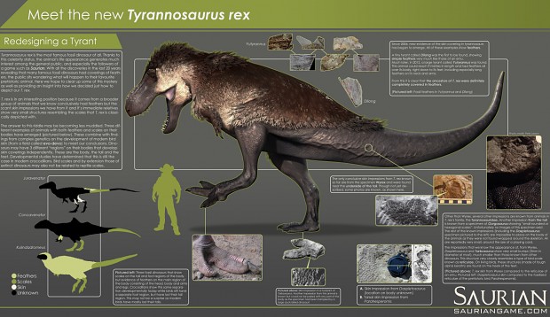 Tyrannosaurus infographic