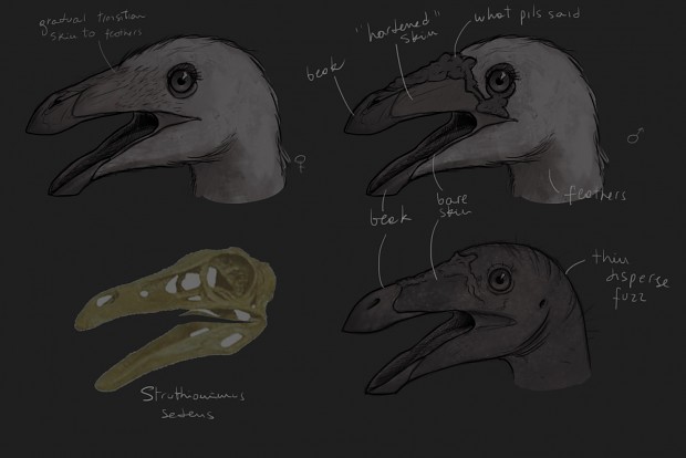 Ornithomimid concept art