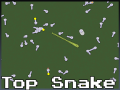Top Snake