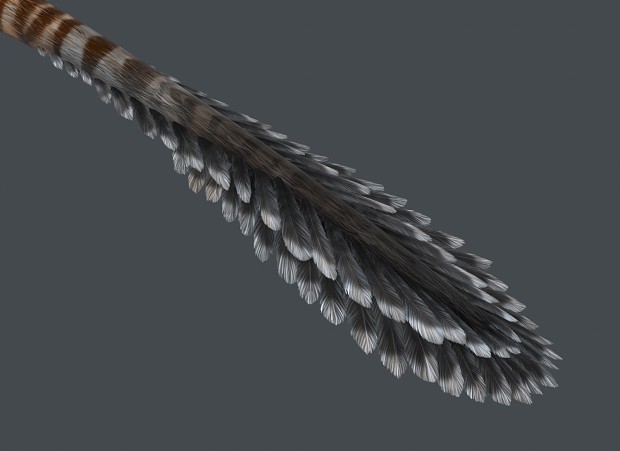 Austroraptor Render - Feather Detail