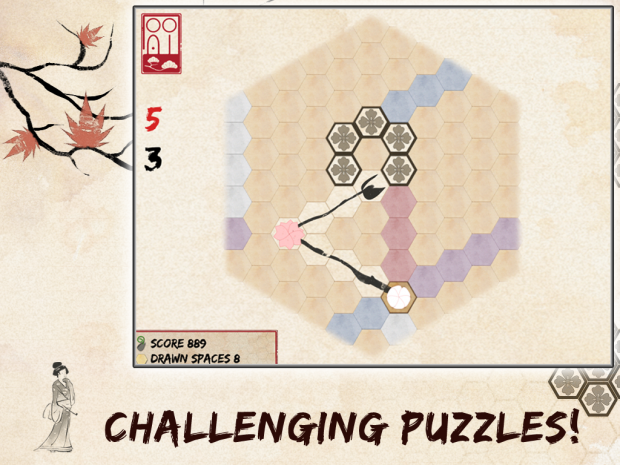Challenging Puzzles