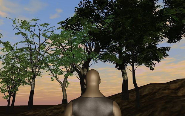 Trees with HLSL shaders & shadows