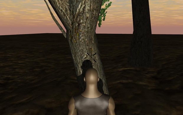 Trees with hlsl shaders & shadows