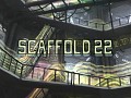 Scaffold 22