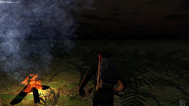 Campfires at night