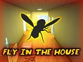 Fly In The House