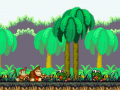 Donkey Kong Country 4 - The DK Bay