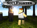 SoulFighter - Sandbox RPG