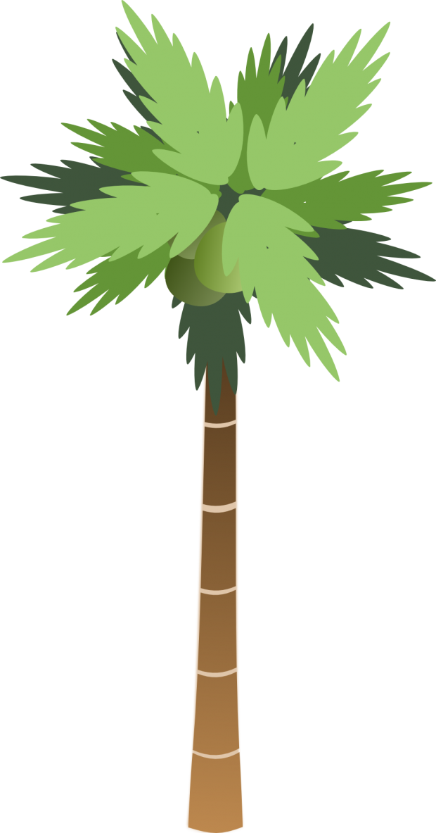 palm tree 5