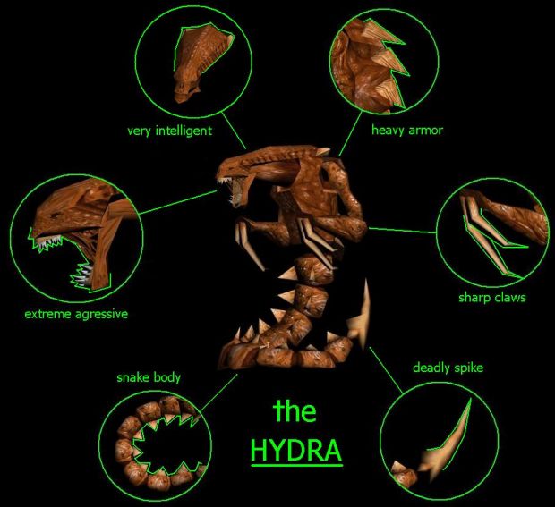 The HYDRA in detail