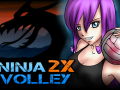 Ninja Volley 2X