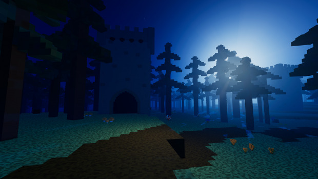 Fir Forest At Night