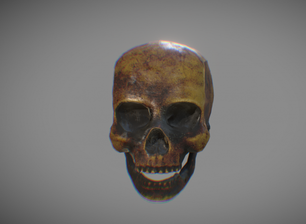 Making a texturized human skull