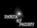 Sound of Forest