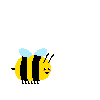 bee crouch 5