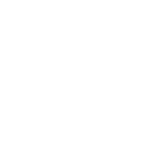 Argo transparent logo