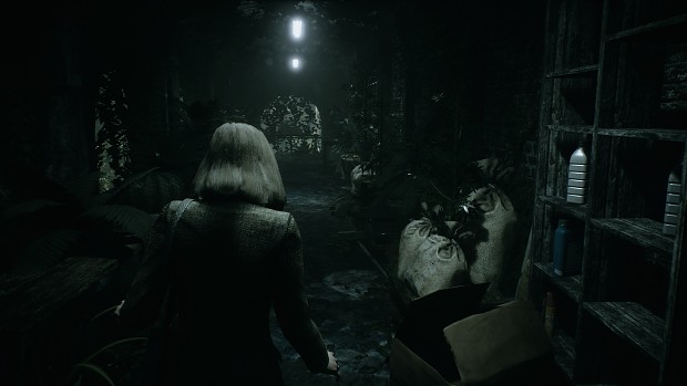 Remothered: Tormented Fathers - 10 image - ModDB