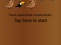 Touch Same Birds