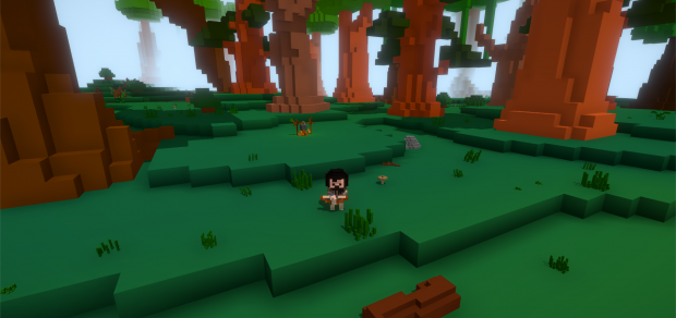 Forest biome
