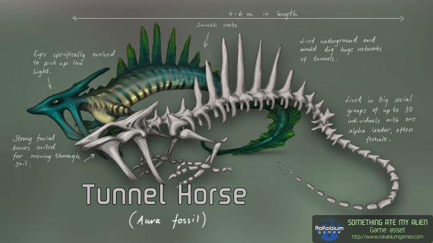 Tunnel Horse Fossil