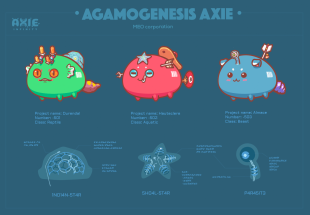 Auction Axie reveal 1