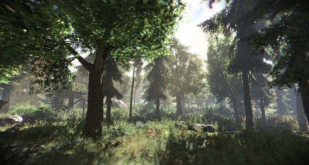 PAZE Environment - Northern Forest