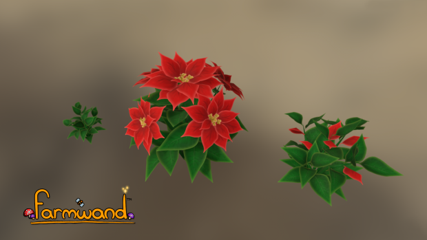 Poinsettias (or nochebuena flowers) for Christmas! :D