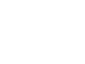 Faction Z
