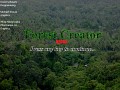 Forest Creator (REDUX)