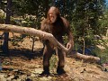Bigfoot Life
