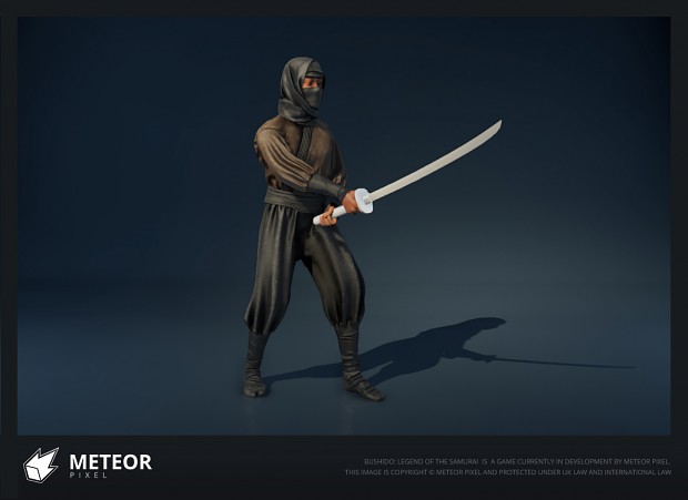 A new in-game screenshot of our Ninja