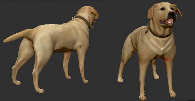 Dog (high-poly model)