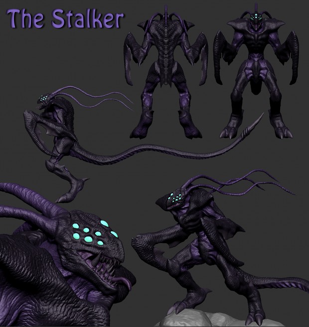 Stalker model