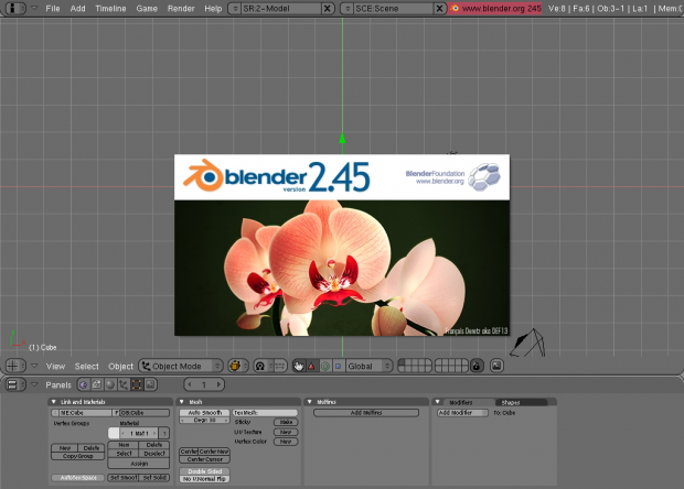 Blender 2.45 using the Rounded theme