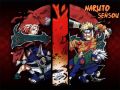 Naruto Sensou Team