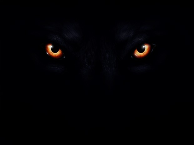 .:Wolf Eyes:.
