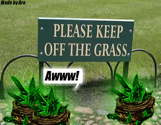 Keep of the grass.
