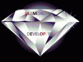 diamond developers