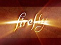 Firefly Fan Group