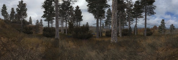 Absolute Nature 4 Panorama