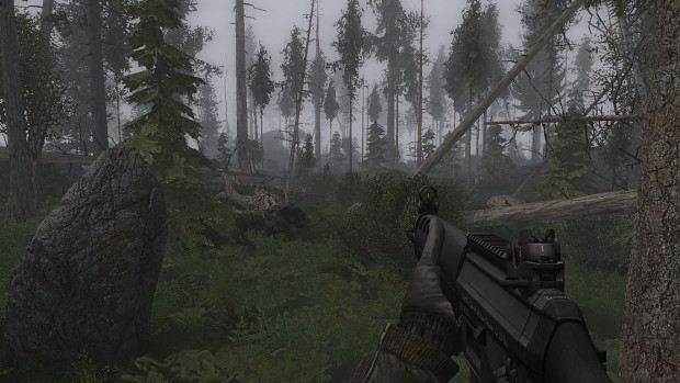 Some old forest screenshots...