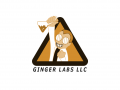 Ginger Labs LLC