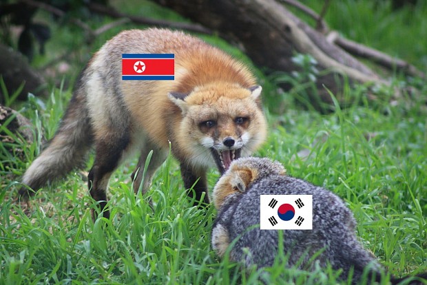 North Korean fox vs South Korean fox