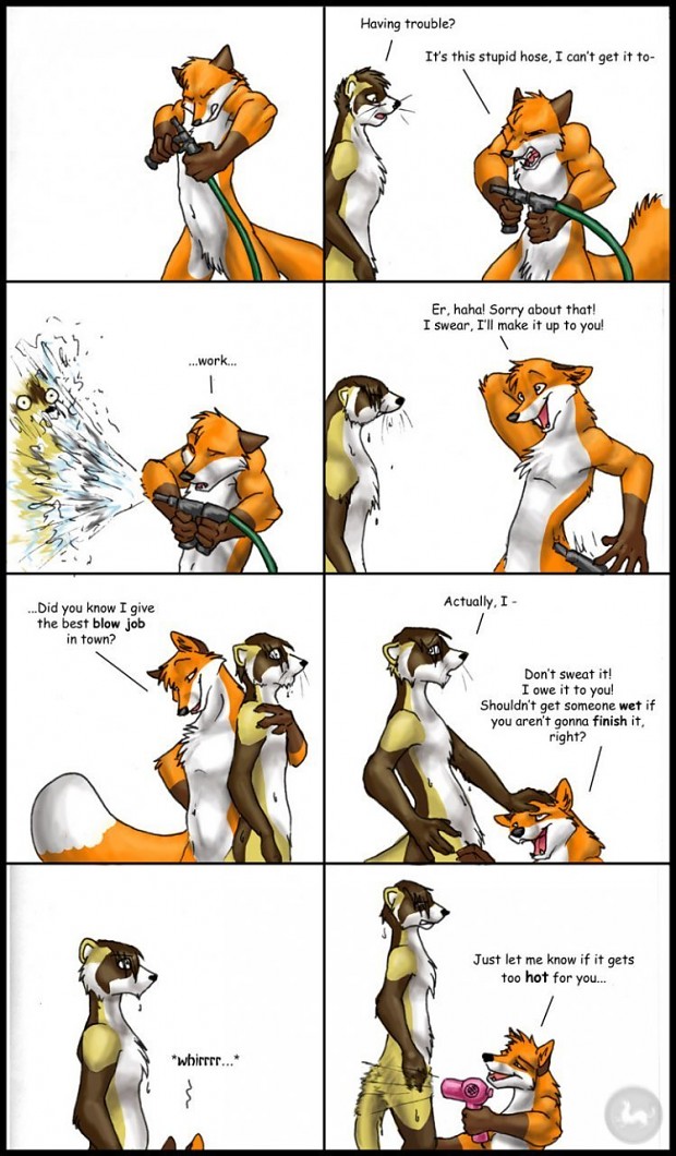 Funny anthro fox comic