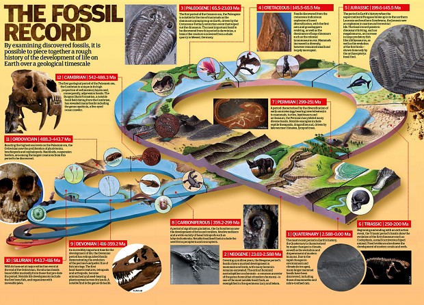 The Fossil record - geological timescale