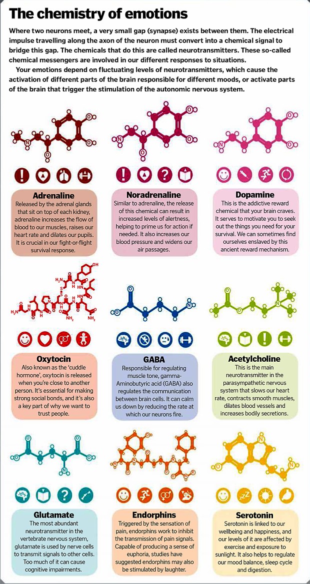 The Chemistry of emotions