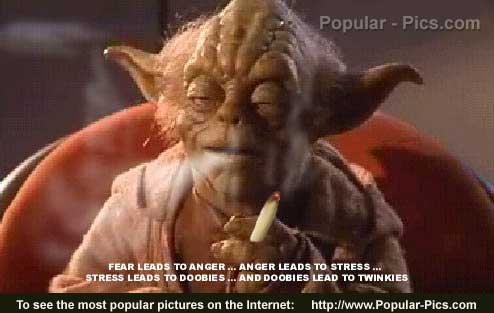 Yoda Smoker