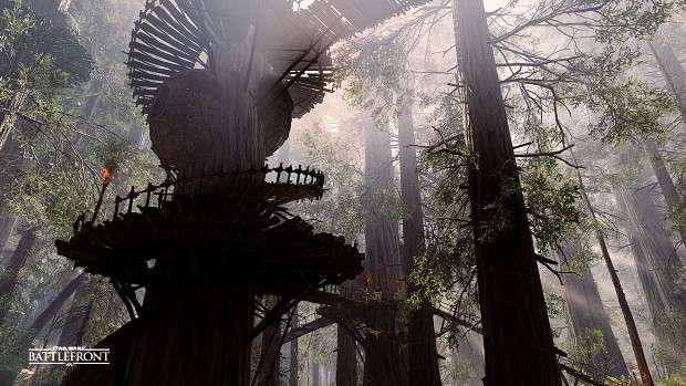 Forest Moon of Endor